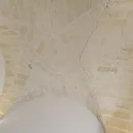 Ulivo *