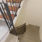 Ulivo * Lecce