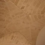 Ulivo * Lecce