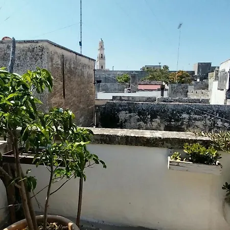 Ulivo
