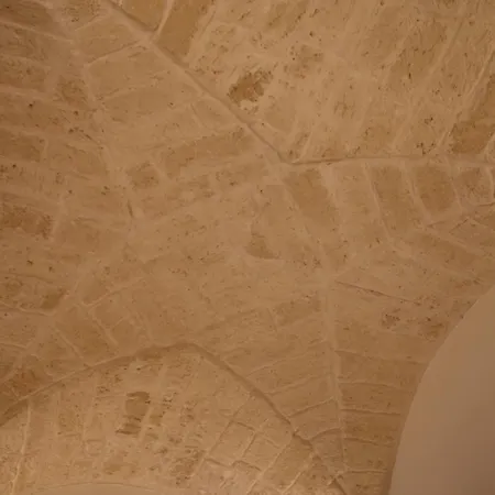 Ulivo * Lecce