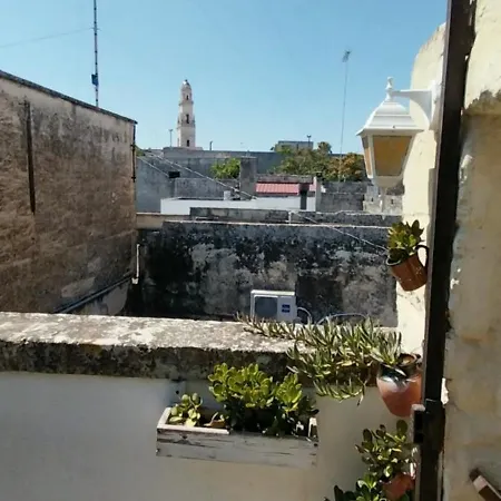 Ulivo Lecce