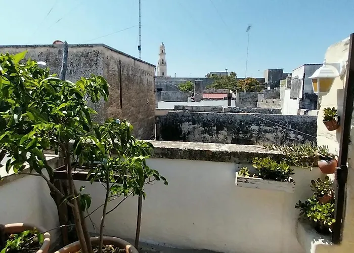 Ulivo