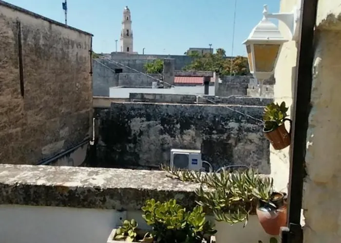 Ulivo Lecce